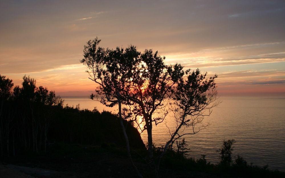 Cliffside Bed & Breakfast Culloden Extérieur photo